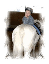 Pony Kinder Reiten Pferdeboxen Goettingen Rosdorf Kinderreiten