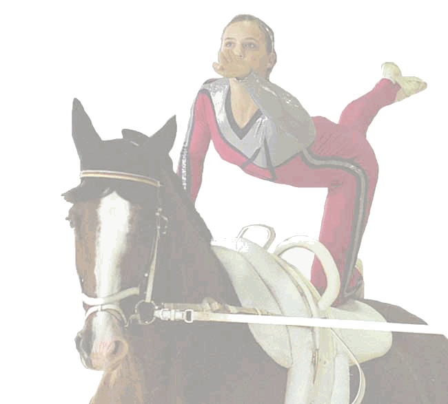 Voltigieren Goettingen Rosdorf Ponyreiten Kinderreiten Pferdebox Stall