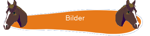 Bilder