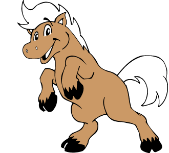 pony pferdebox pferd box reitstall reitunterricht reiten